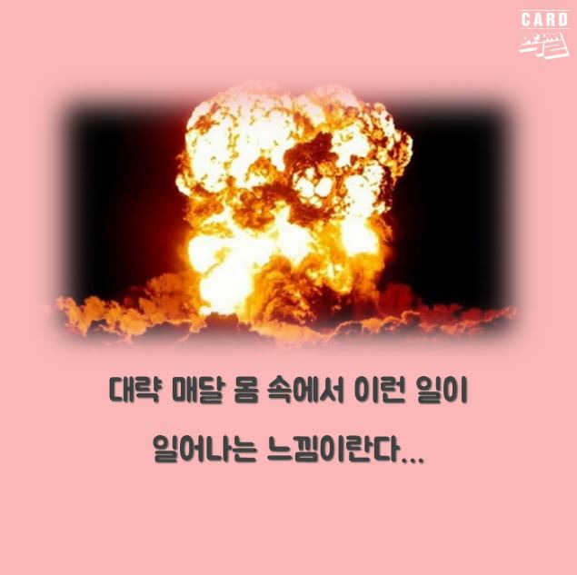 더쿠 - 생알못을 위한 생리 Q&A