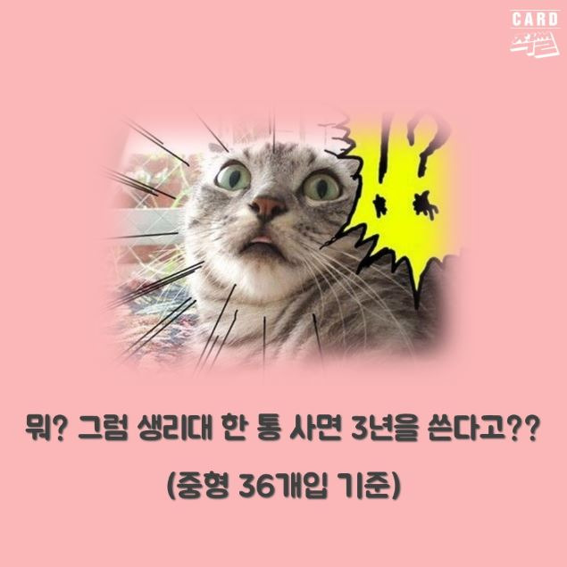 더쿠 - 생알못을 위한 생리 Q&A