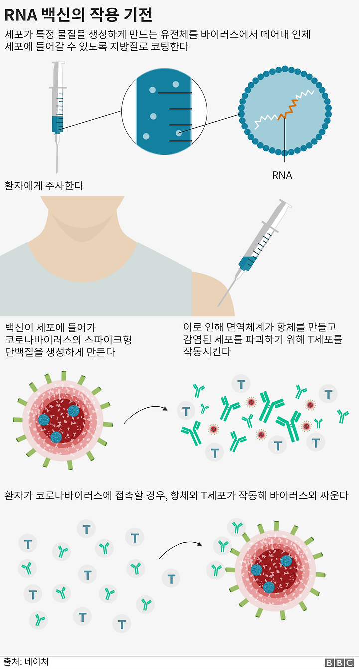 영국이 세계 최초로 승인한 화이자 백신은 무엇인가? | 1boon