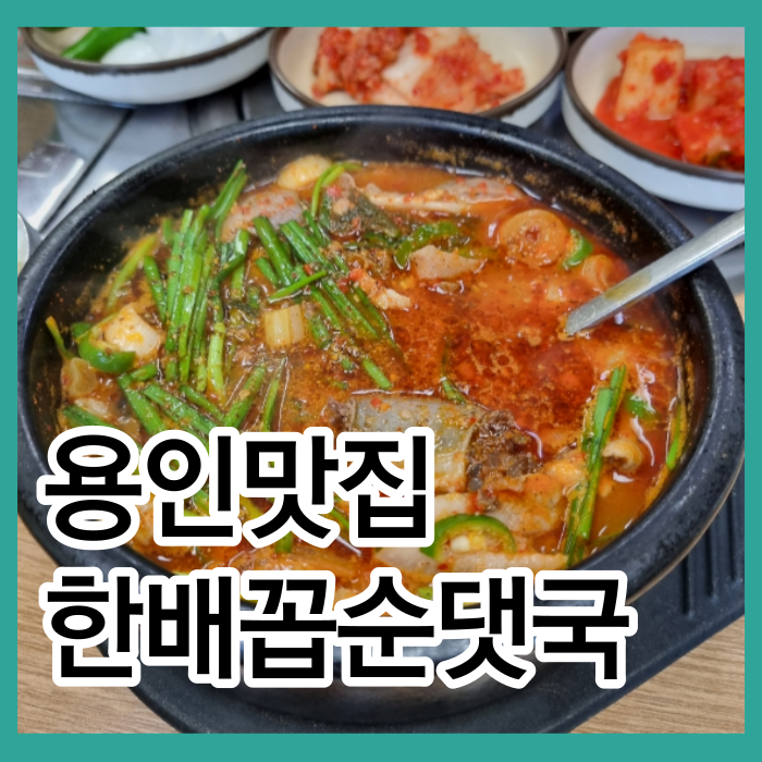 용인 처인 순댓국 맛집 한배꼽옛날손순대