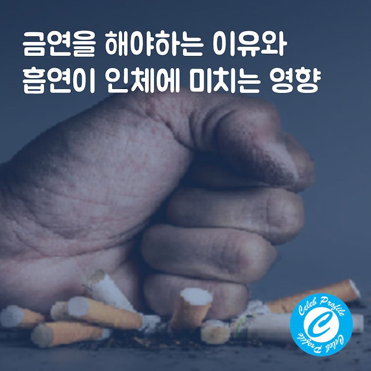 포스팅 썸네일 이미지