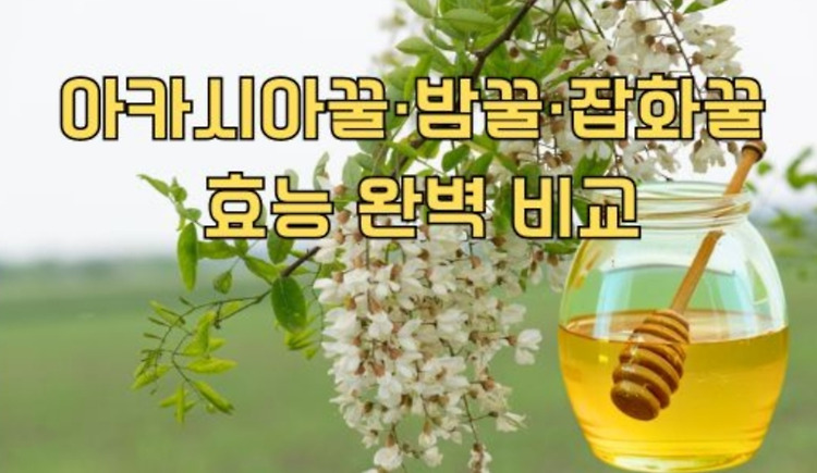 아카시아꿀, 밤꿀, 잡화꿀 비교! 향기부터 효능까지 제대로 알아보기