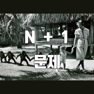 트러블 슈팅 - DB 연관관계에서의 N+1 문제