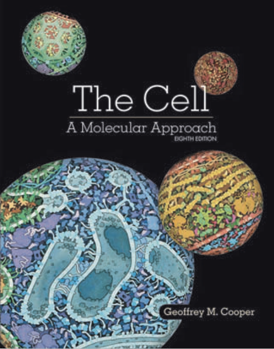 Chapter 8. RNA Synthesis and Processing