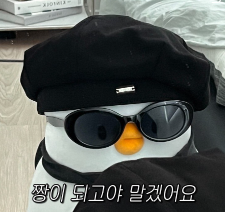 콩쪽이의 세상🐿