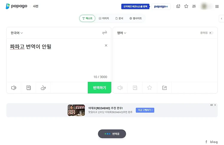 파파고 번역 안될 때 해결하는 방법 with 쿠키 초기화