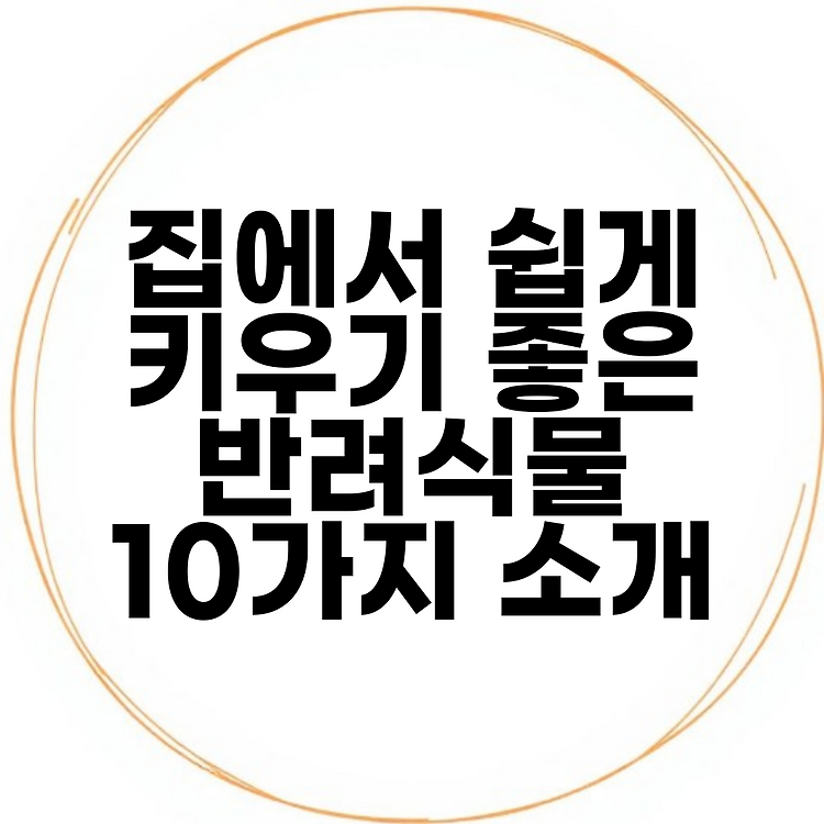 집에서 쉽게 키우기 좋은 반려식물 10가지 소개 썸네일