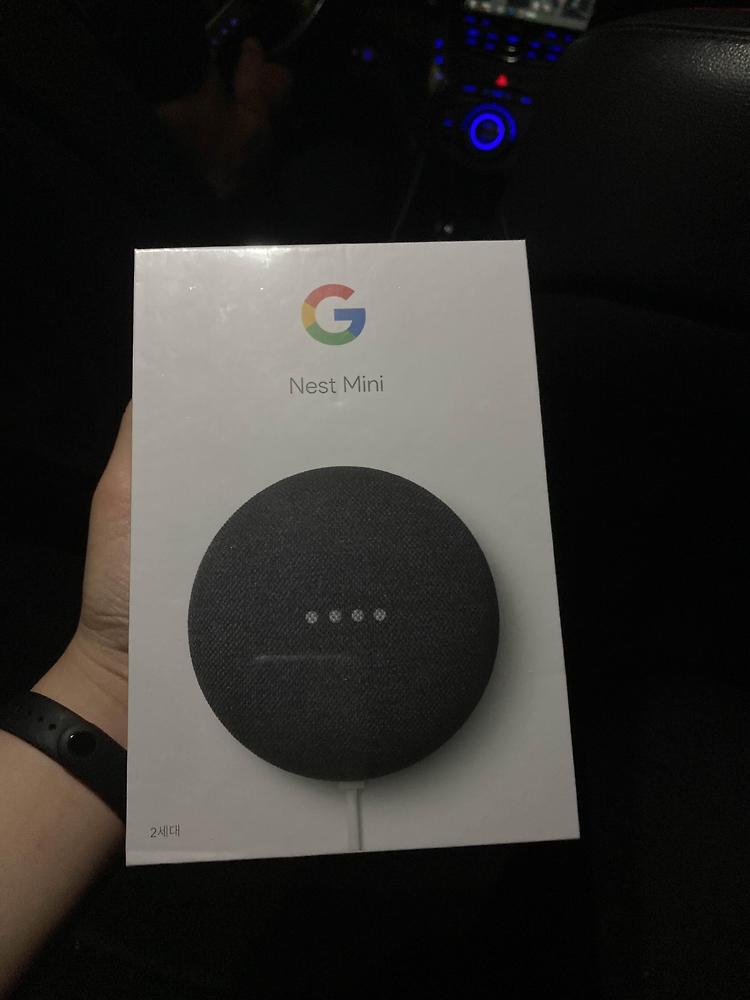 Google Nest Mini 2세대