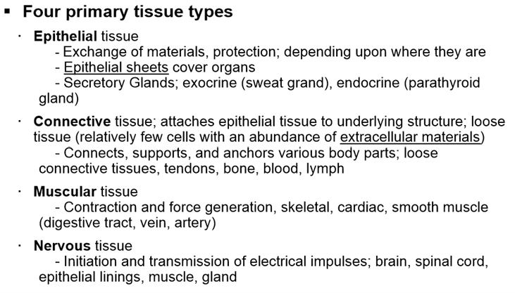 Homeostasis and Integration : The Foundations of Physiology (1)