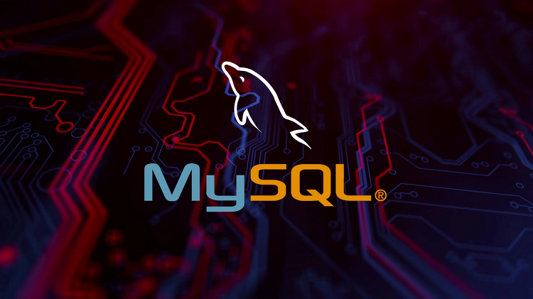 [MySQL] 계정 관리