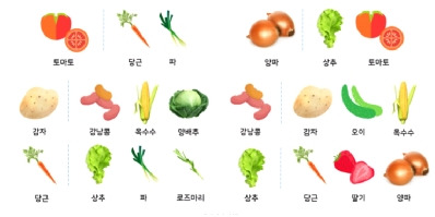 동반 식물의 표지이미지