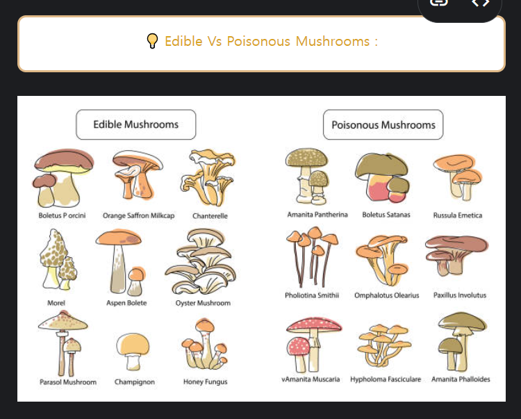 Kaggle Competition - Binary Prediction of Poisonous Mushrooms (1) EDA 전까지