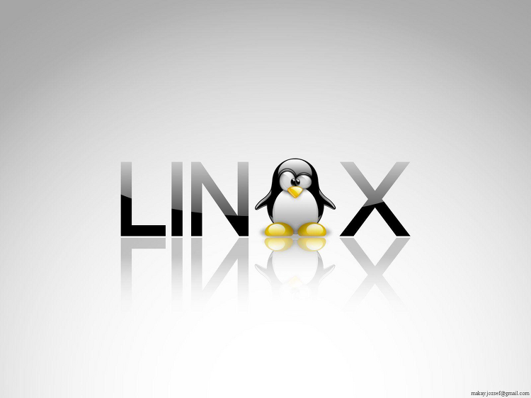 [리눅스] 네트워크 설정