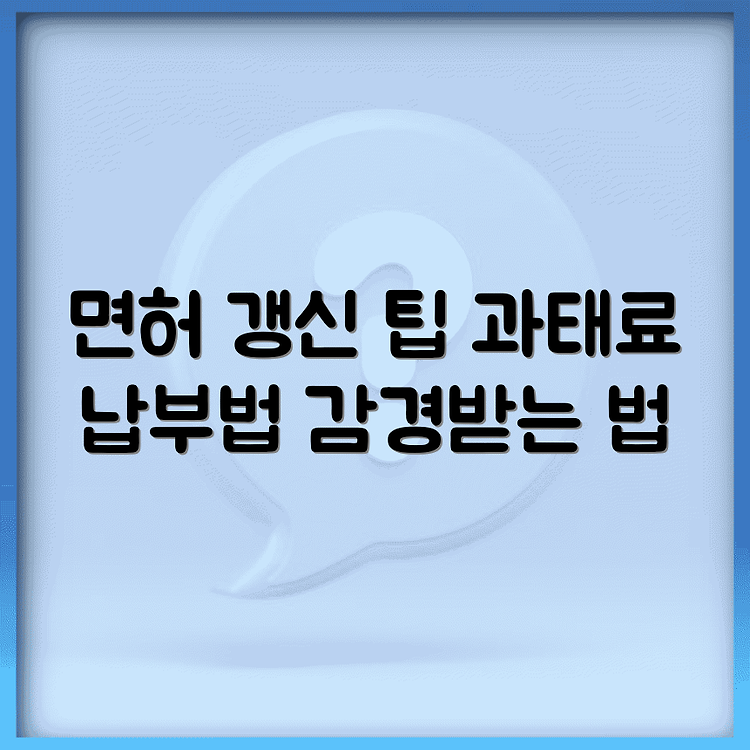운전면허 적성검사 갱신 과태료 | 납부방법 총정리 | 감경받는 꿀팁 썸네일