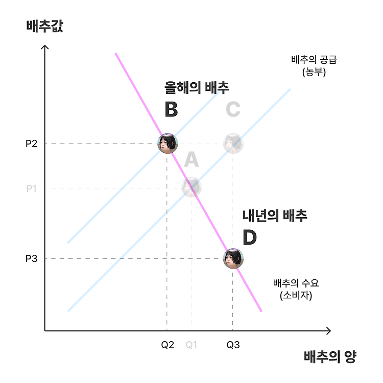 배추🥬 가격이 거미🕸️ 때문에 오른다고...?