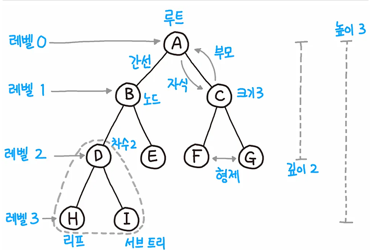 비선형구조 : 트리