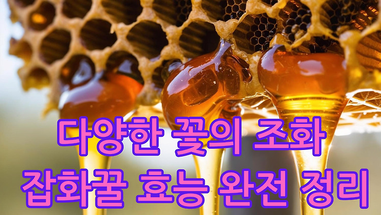 잡화 꿀이란? 다양한 꽃에서 얻은 천연 꿀의 효능과 특징