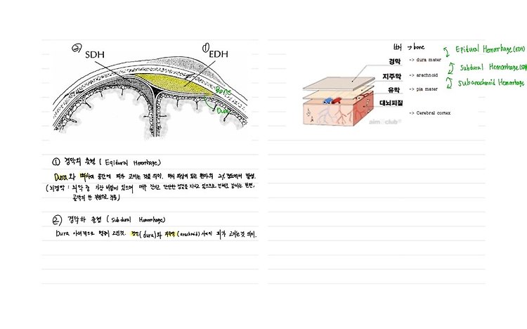 [의료 이미지] CT image 이해하기 (feat. Dicom 파일)