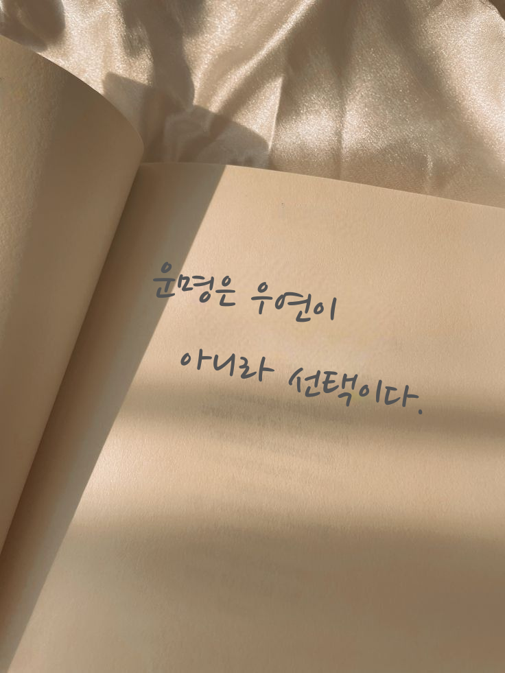 주소 도메인 테이블 구조 리팩토링으로 성능·동시성 문제 해결