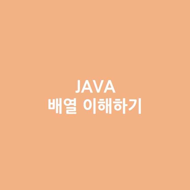 [Java] Java의 배열의 종류와 각각의 배열 이해하기