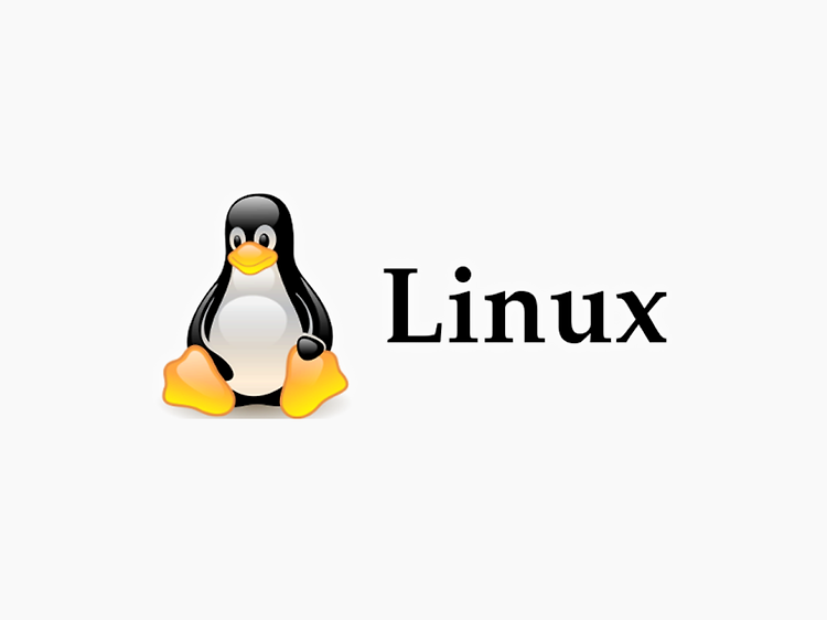 Linux 가상콘솔과 런레벨