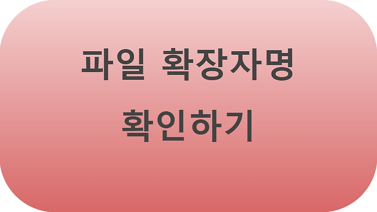 컴퓨터 파일 확장자명 확인하기 포스트 썸네일