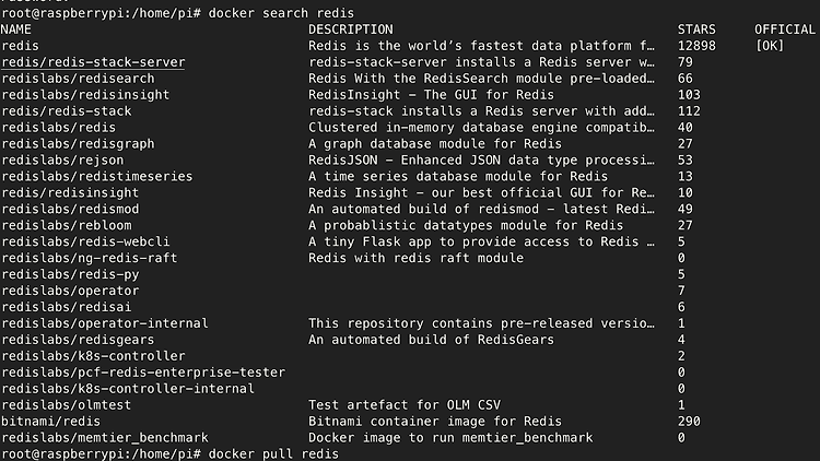 라즈베리 파이에 Docker 설치 및 컨테이너 실행