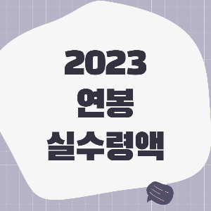 2023 연봉 실수령액 계산기 (연봉 4000 실수령액, 세후 월급 세금)