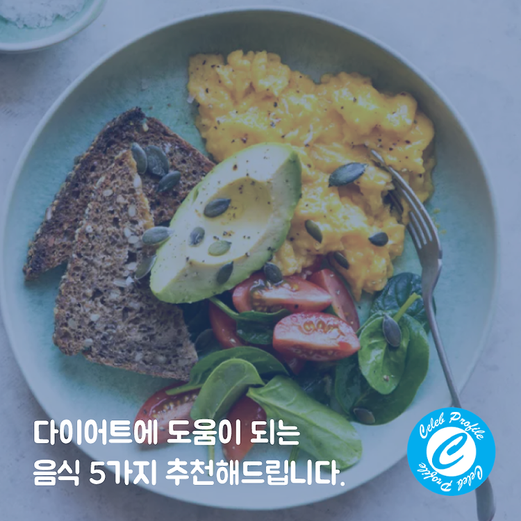 포스팅 썸네일 이미지