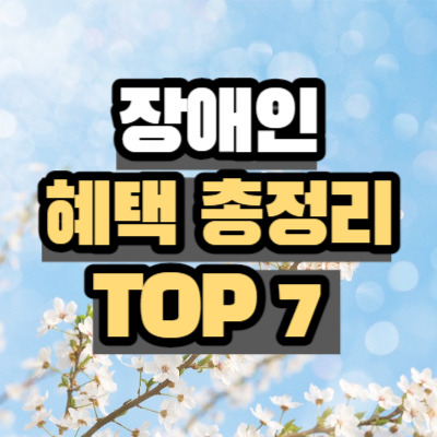 장애인 혜택 총 정리 (경증, 중증, 복지카드)