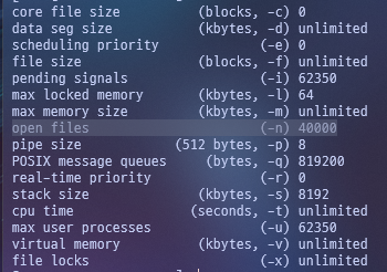 EMFILE: too many open files
