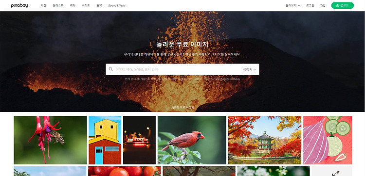 [무료 이미지 사이트 추천] 저작권 걱정 없는 무료 이미지 다운로드 사이트 픽사베이(Pixabay) / 무료 일러스트 / 무료 사진 / 썸네일 사진 / 대학생 과제 이미지 / 픽사베이 사용방법