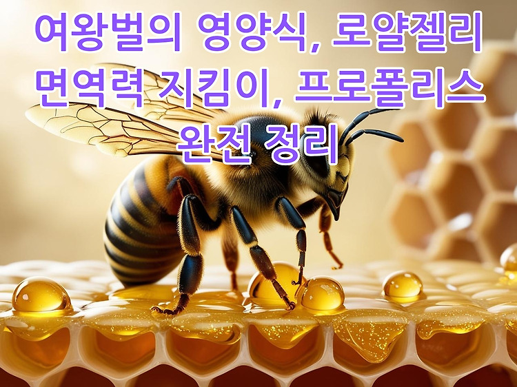 로얄젤리와 프로폴리스, 꿀벌이 만든 두 가지 건강 보물