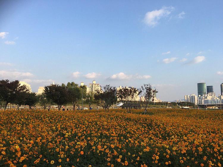 주말 자전거 타기 및 꽃 구경