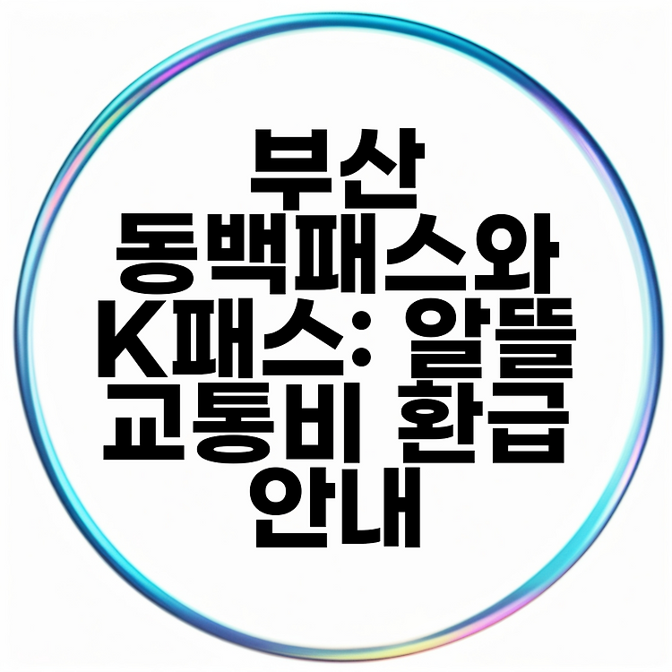 부산 동백패스와 K패스: 알뜰 교통비 환급 안내 썸네일