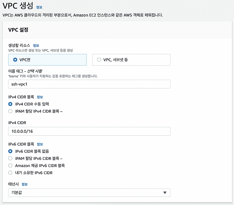 [AWS] VPC 네트워크 수동으로 설정하기