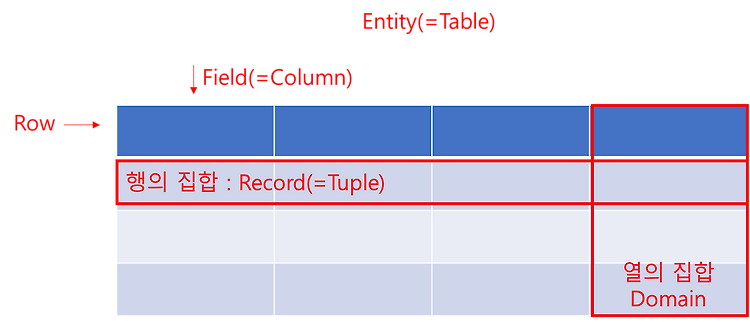 [DATABASE] 테이블 용어, 데이터 타입