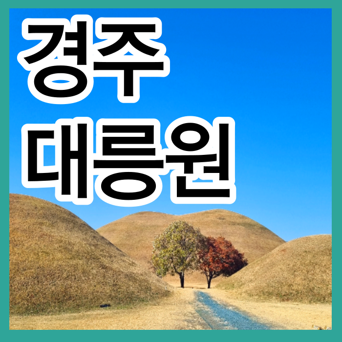 경주 여행 대릉원 주차장 포토존 경주가볼만한곳