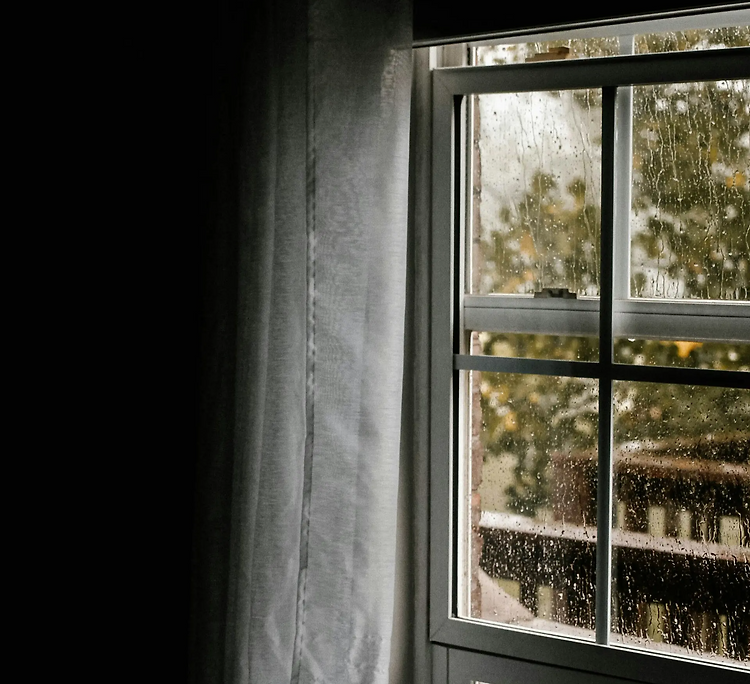 당신이 비 오는 날 유독 피곤한 이유, 과학적 근거가 있을까? 🌧️