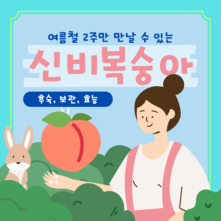 신비 복숭아 후숙 및 보관, 맛 후기 및 효능 콘텐츠 대표 이미지