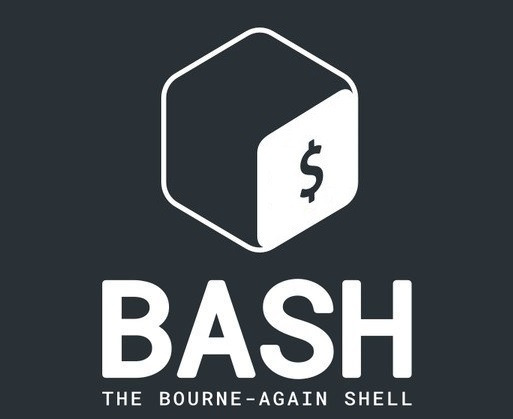 bash 스크립트 if문 옵션 정리