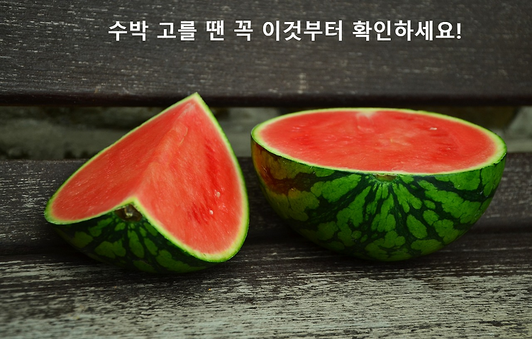 소리만 들어도 꿀맛 수박! 과일 고르는 법, 과일 장수보다 더 잘 알기