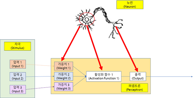 [딥러닝] #5 퍼셉트론(Perceptron)에 대해서 알아보자 / 인공신경망(ANN) 퍼셉트론과 뉴런의 차이점 / 편향 b(bias)의 의미
