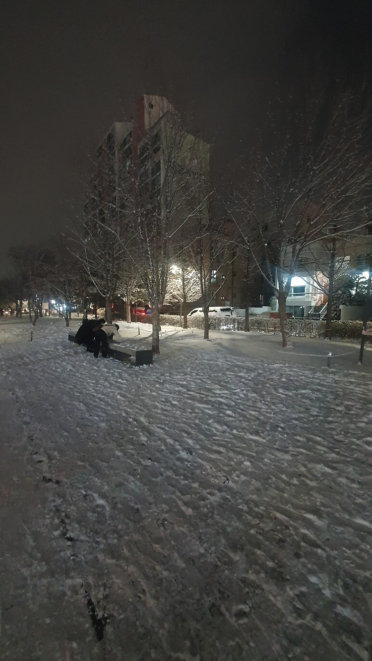 2021년 1월 일상 - 드라마 시청, 프로그램 개발, 폭설, 자동차 공기압 이상