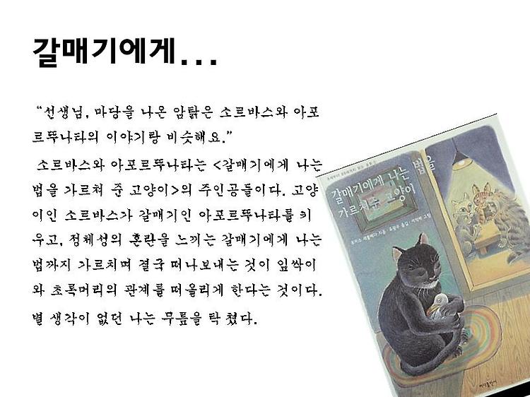 '갈매기에게 나는 법을 가르쳐준 고양이' 포스트 대표 이미지