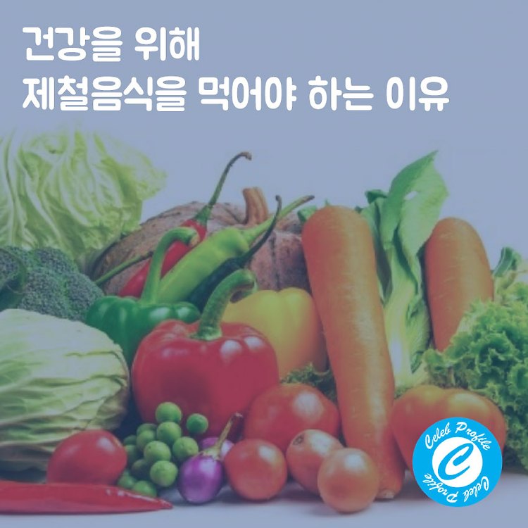 포스팅 썸네일 이미지