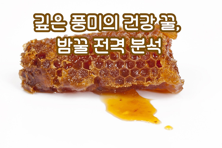 밤꿀의 효능과 특징, 아카시아꿀과의 차이점 완벽 정리