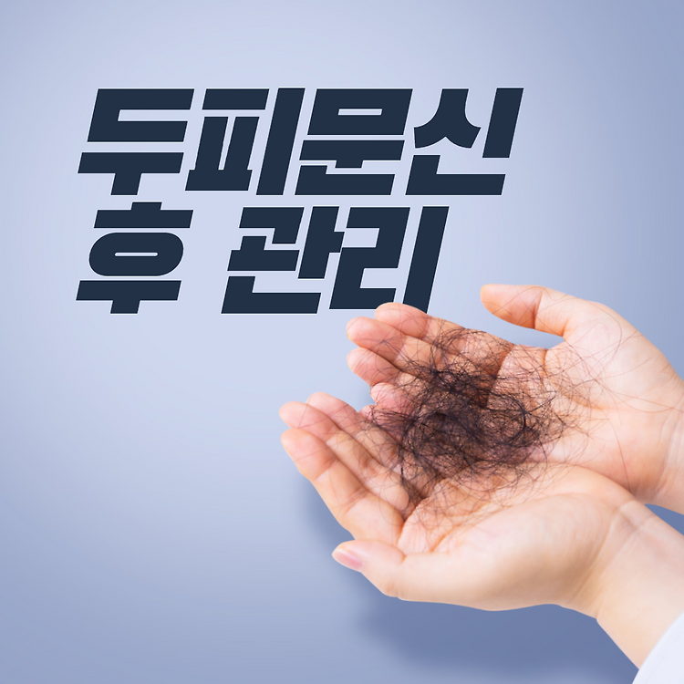 두피문신 후 관리 방법