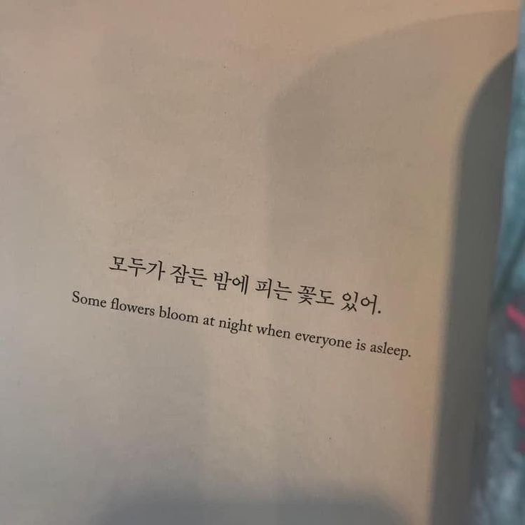 Maven 프로젝트에서 Lombok이 인식되지 않는 문제 해결