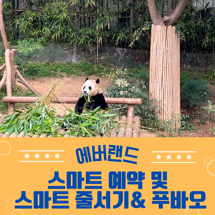 에버랜드 스마트예약 및 스마트줄서기, 판다월드 푸바오 콘텐츠 대표 이미지